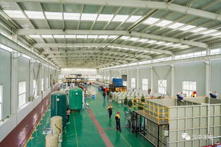 勉县县委书记谈绿色循环高质量发展之路——技术创新驱动可持续崛起